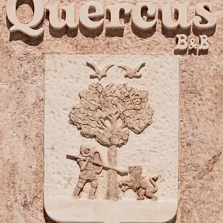 Quercus * אלברובלו